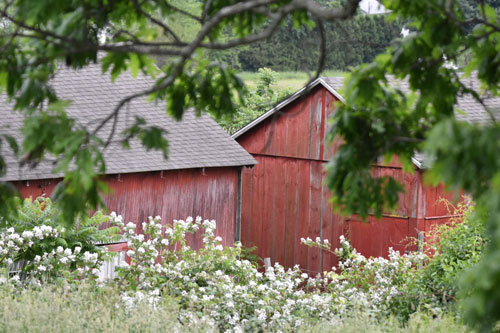 Barn