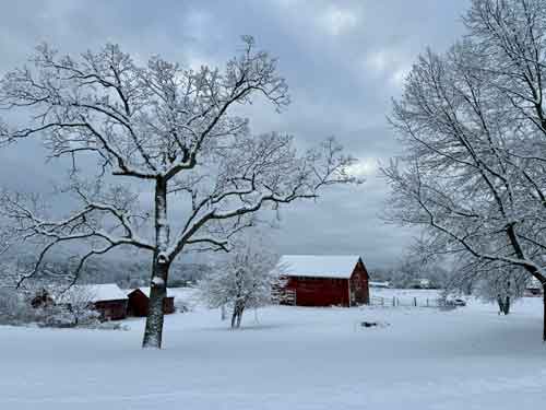 Winter Scene