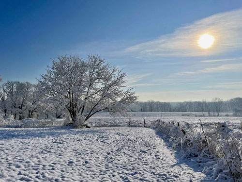 Winter